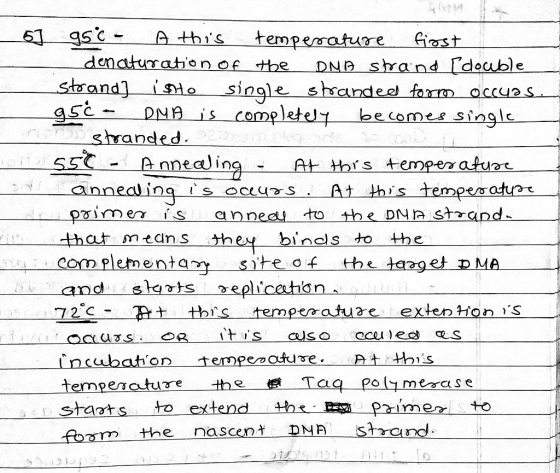 Yra 6] g5c - Athis temperature first denaturation of the DNA strand [double strand) ishto single stranded forno occyasi 95€ -