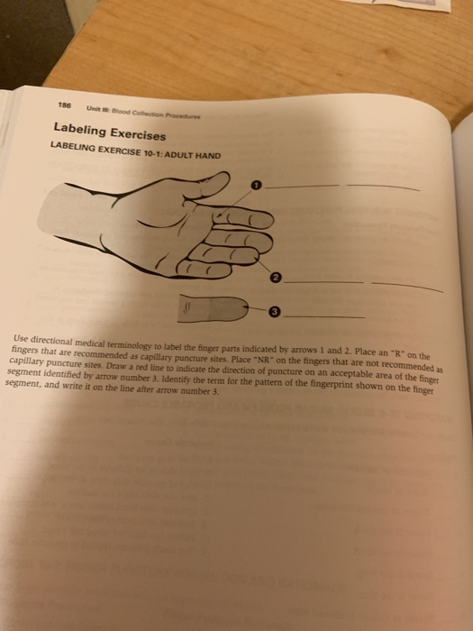 186 Unit Blood Labeling Exercises LABELING EXERCISE 10-1: ADULT HAND Use directional medical terminology to label the finger