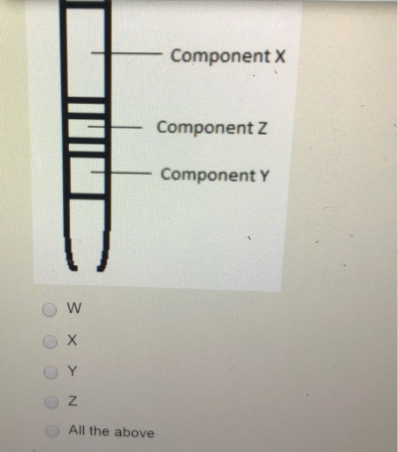 Component X Component z Component Y 0 0 NT & E 0 0 0 O All the above