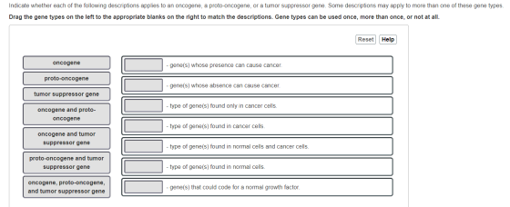 Indicate whether each of the following descriptions applies to an oncogene, a proto-oncogene, or a tumor suppressor gene. Som