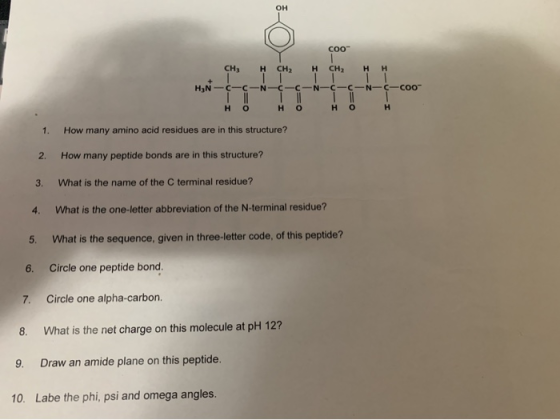 coo CH3 CH2 H CH H H HN-c-c-N-C-C-N-C-C-N-C-Coo H OH OH OH 1. How many amino acid residues are in this structure? 2. How many