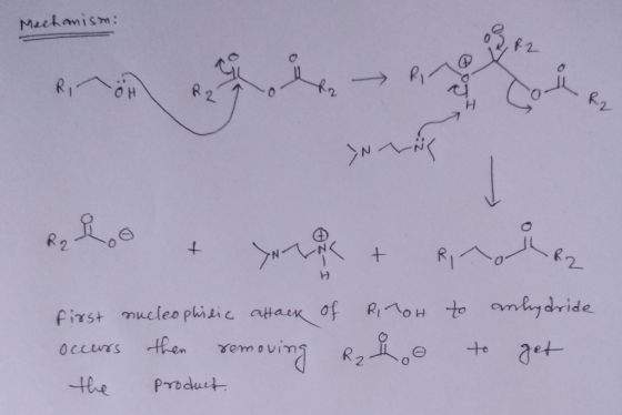 Mechanismi 2 R2 Re Loo Yoo + Rino LR2 first nucleophilic attack of R OH to anhydride occurs then removing Rzhe to get the pro