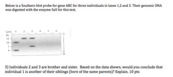 Below is a Southern blot probe for gene ABC for th