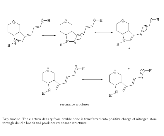 O-H O-H resonance sructures Explanati on: The electron density from double bond is transferred onto positive charge of nitrogen atom through double bonds and produces resonance structures.