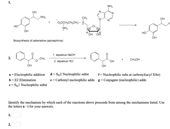 1. NH2 он NH2 CH3 он но он но OH OH OH Biosynthesis of adreneline (epinephrine) 1. aqueous NaOH 2. CH CH3OH 2. aqueous HCI он