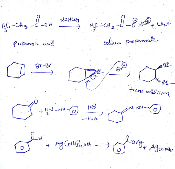 panot acid + A