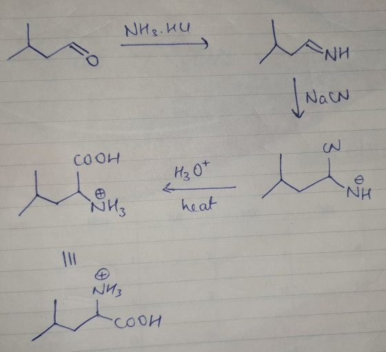 NH3.HU hann | NaCN COOH H₃O+ < NH NH3 heat COOH