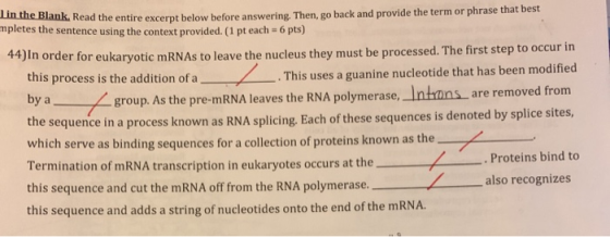 in the Blank. Read the entire excerpt below before answering. Then, go back and provide the term or phrase that best mpletes