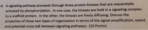 4) A signaling pathway proceeds through three protein kinases that are sequentially activated by phosphorylation. In one case