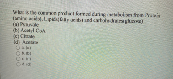 What is the common product formed during metabolism from Protein (amino acids), Lipids(fatty acids) and carbohydrates(glucose