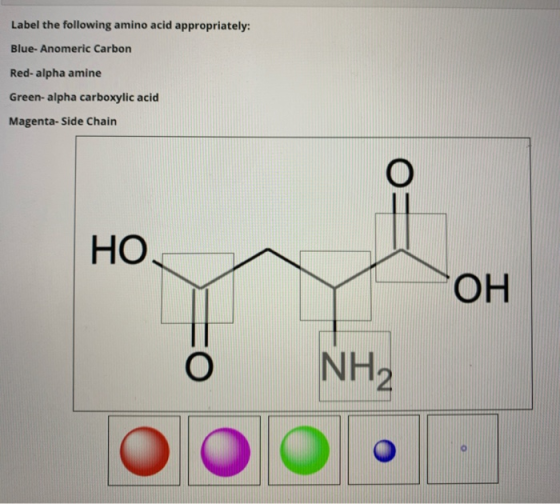 Label the following amino acid appropriately: Blue- Anomeric Carbon Red-alpha amine Green-alpha carboxylic acid Magenta-Side