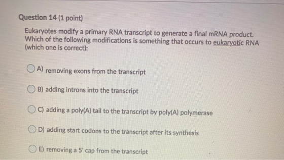 Question 14 (1 point) Eukaryotes modify a primary RNA transcript to generate a final mRNA product. Which of the following mod