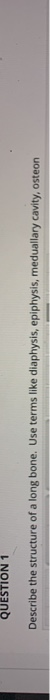 QUESTION 1 Describe the structure of a long bone. Use terms like diaphysis, epiphysis, medullary cavity, osteon