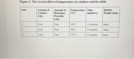 Figure 1: The record effect of temperature on catalase activity table. Tube Temperature Amount of Catalase (cm) Time (minutes