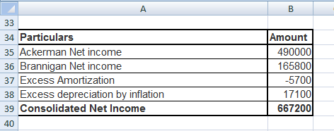 33 34 Particulars 35 Ackerman Net income 36 Brannigan Net income 37 Excess Amortization 38 Excess depreciation by inflation 3