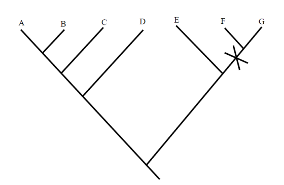 Ε