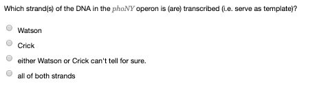 Which strand(s) of the DNA in the phoNY operon is (are) transcribed (.e. serve as template)? Watson Crick either Watson or Cr