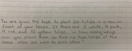 You are given the task to plant zo tulips in a row in front of your house. If there are 2 white, 4 pink, 4 red, and 10 yellow