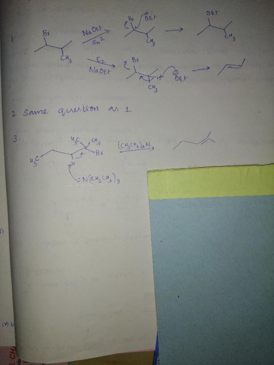 o롸 Na OEL S. 2 Nadet CH, 2 same question as a 3. HS 3 (C1,CM), N, NCC4 C4) 5. CHA sto