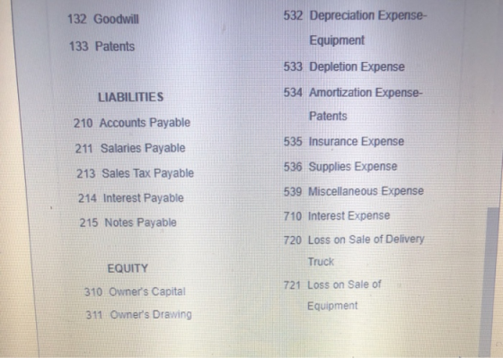 132 Goodwill 133 Patents 532 Depreciation Expense- Equipment 533 Depletion Expense 534 Amortization Expense- Patents 535 Insu