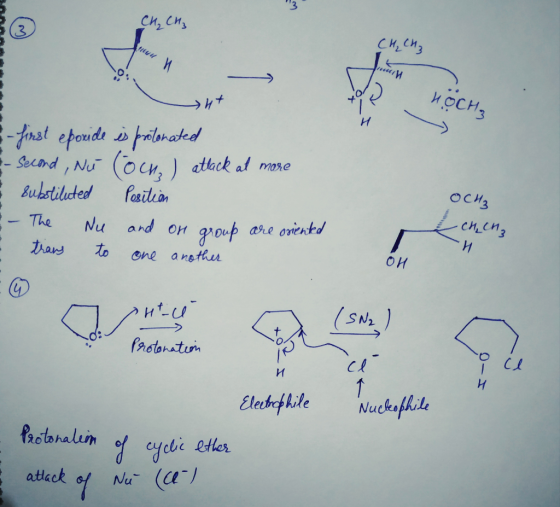 C.M,CH3 иоснз -fnat eponide praonatkd -Secand , Nu Bubstiluded (oc,)atect af mare Pasition оск chen3 Nu and on The are onentd