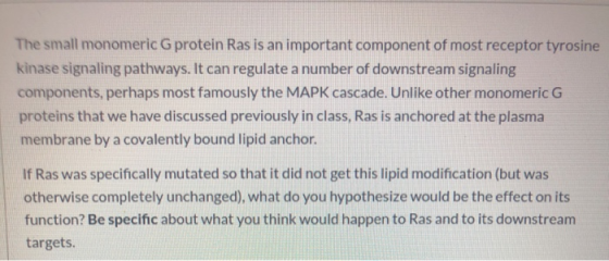 The small monomeric G protein Ras is an important component of most receptor tyrosine kinase signaling pathways. It can regul