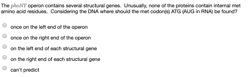The phoNY operon contains several structural genes. Unusually, none of the proteins contain internal met amino acid residues.