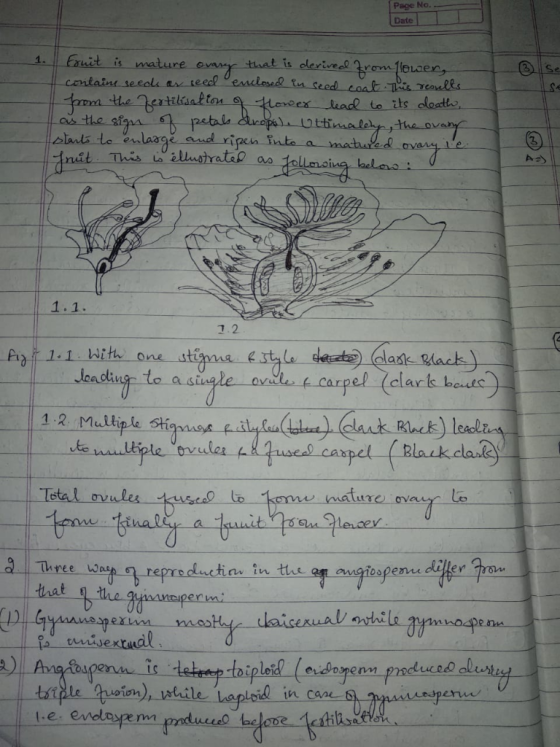 Pace No. Date that is oleriveal Oyom fleLaen tn seed its loatt lants te enlaage el vipcn f 名 7.2 1.1 With one sti arpel clark