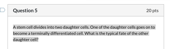 Question 5 20 pts A stem cell divides into two daughter cells. One of the daughter cells goes on to become a terminally diffe