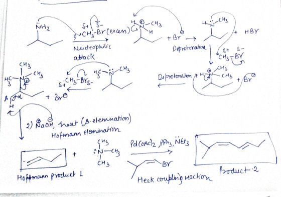 SĄ-CH2 A HBY D-CH₃ Br(excess) C + Br Deprotonation | C Deprotination Nudeophilic attack . St s- or и а нс; сч, S: CH₂ Brg- &