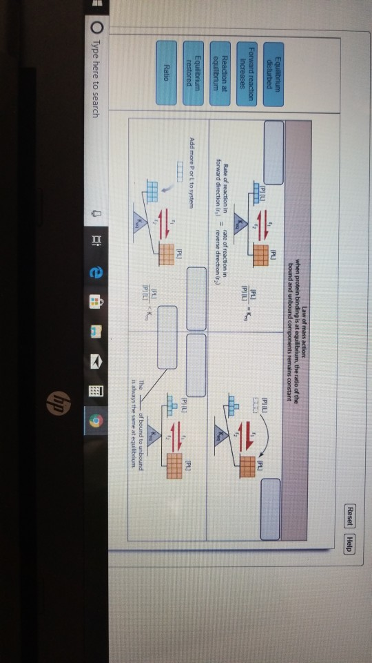 when protein binding is at PL) Add more P or L to system PLJ (PIILI The O Type here to search