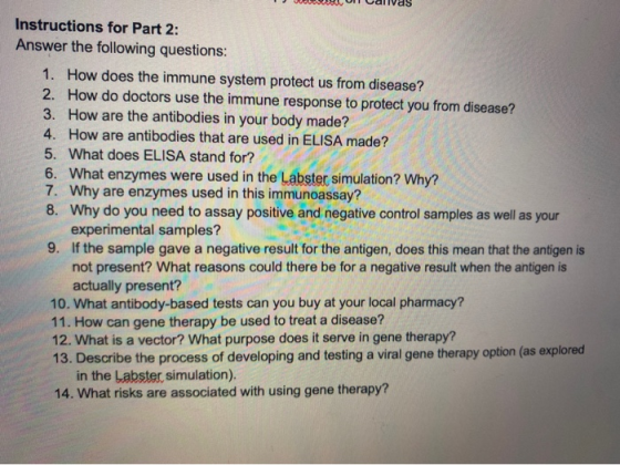 Instructions for Part 2: Answer the following questions: 1. How does the immune system protect us from disease? 2. How do doc