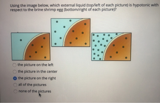 Using the image below, which external liquid (top/left of each picture) is hypotonic with respect to the brine shrimp egg (bo