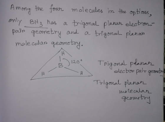 Among the four molecules in the options, only BH₂ has a trigonal planar election, pain geometry and a trigonal planas molecul