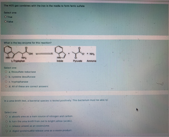 The H2S gas combines with the iron in the media to form ferric sulfate Select one: True O False What is the key enzyme for th