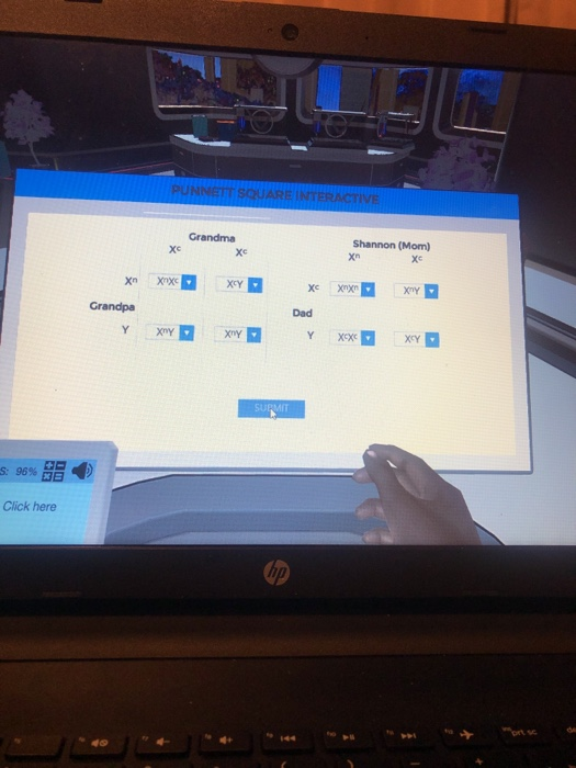 PUNNETT SQUARE INTERACTIVE Grandma Shannon (Mom) xnxx хсү , Хе Xnxn: XnY Grandpa Dad SUMIT S: 96% 9 Click here