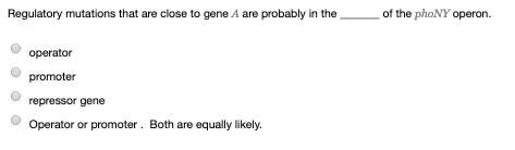 Regulatory mutations that are close to gene A are probably in the __ of the phone operon. operator promoter repressor gene Op