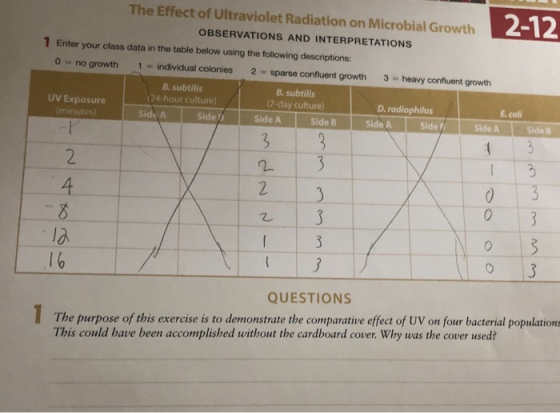 2-12 The Effect of Ultraviolet Radiation on Microbial Growth OBSERVATIONS AND INTERPRETATIONS 1 Enter your class data in the