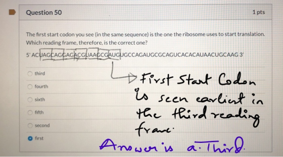 Question 50 1 pts The first start codon you see in the same sequence) is the one the ribosome uses to start translation. Whic