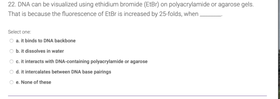 22. DNA can be visualized using ethidium bromide (EtBr) on polyacrylamide or agarose gels. That is because the fluorescence o