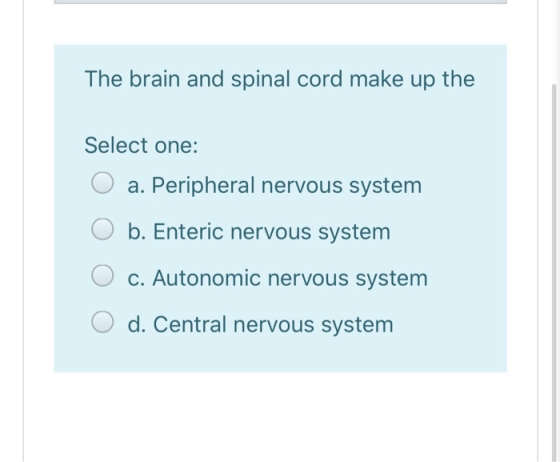 The brain and spinal cord make up the Select one: O a. Peripheral nervous system O b. Enteric nervous system O c. Autonomic n