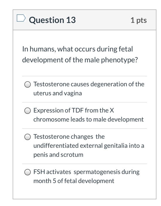 Question 13 1 pts In humans, what occurs during fetal development of the male phenotype? Testosterone causes degeneration of