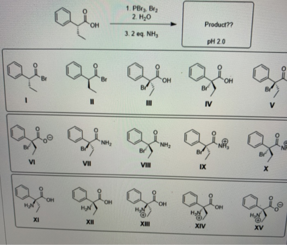 1. PBry, Brz 2. H20 Product?? 3. 2 eq. NH3 PH 2.0 Culori as a Quin ОН OH Br Br - IV V NH2 Br NH2 Br NE Br Br VI VII VIII IX х