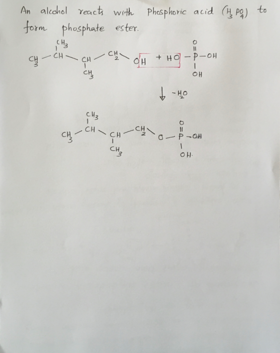 to O= An alcohol reacts with Phosphoric acid (h. po form phosphate ester. - CH - CH CH oH + HO-P-OH CH tho OH CH O=4 CH-CH PO
