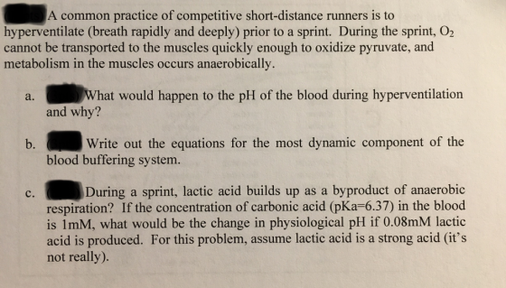 A common practice of competitive short-distance runners is to hyperventilate (breath rapidly and deeply) prior to a sprint. During the sprint, O2 cannot be transported to the muscles quickly enough to oxidize pyruvate, and metabolism in the muscles occurs anaerobically. a. What would happen to the pH of the blood during hyperventilation and why? b. Write out the equations for the most dynamic component of the blood buffering system. During a sprint, lactic acid builds up as a byproduct of anaerobic respiration? If the concentration of carbonic acid (pKa-6.37) in the blood is 1mM, what would be the change in physiological pH if 0.08mM lactic acid is produced. For this problem, assume lactic acid is a strong acid (its с. not really).