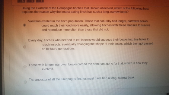 Using the example of the Galápagos finches that Darwin observed, which of the following best explains the reason why the inse