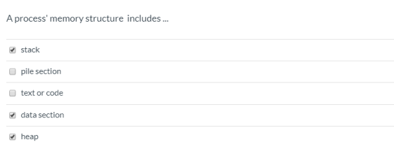 A process memory structure includes... stack pile section text or code data section heap