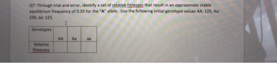Q7: Through trial and error, identify a set of relative fitnesses that result in an approximate stable equilibrium frequency