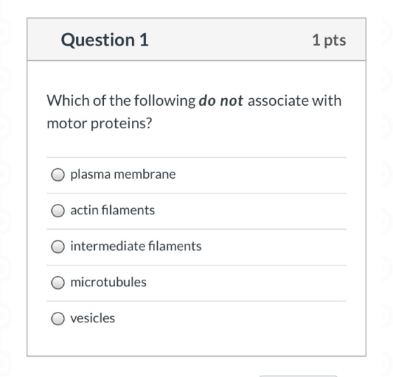 Question 1 1 pts Which of the following do not associate with motor proteins? O plasma membrane O actin filaments O intermedi