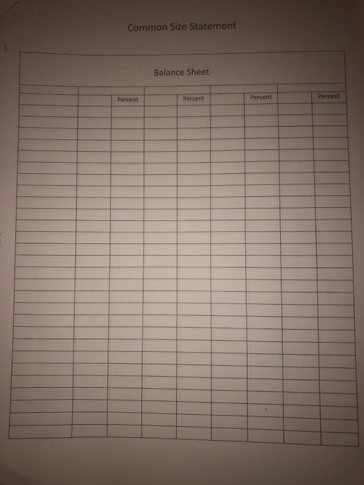 Common Size Statement Balance Sheet Percent Percen